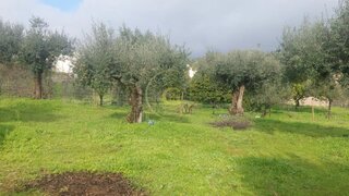 Land for sale in Vila Nova da Barquinha, Portugal — €50,000