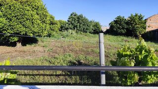 Land for sale in Alpiarça, Portugal — €38,000