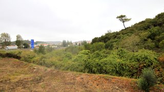 Land for sale in Bombarral, Portugal — €37,500
