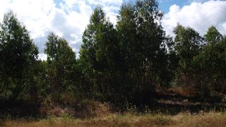 Land for sale in Caldas da Rainha, Portugal — €250,000