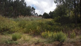 Land for sale in Caldas da Rainha, Portugal — €80,000