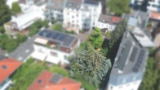 casafari-bild