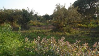 Land for sale in Sesimbra, Portugal
