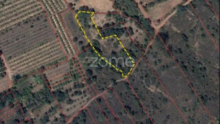 Land for sale in Silves, Portugal — €10,000