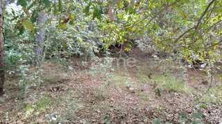 Terreno · 3126 m² · 35 000 €