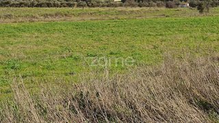 Terreno em Campo Maior