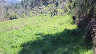 Land for sale in Moimenta da Beira, Portugal — €25,000