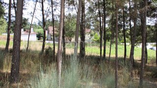 Land for sale in Viseu, Portugal — €36,000