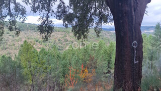 Land for sale in Alijó, Portugal — €12,000