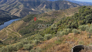 Land for sale in Alijó, Portugal — €40,000