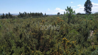 Terreno de 2196 m² em Seia