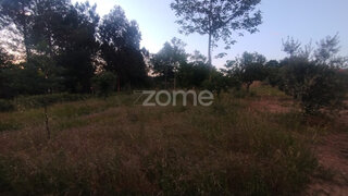Terreno · 2045 m² · 35 000 €