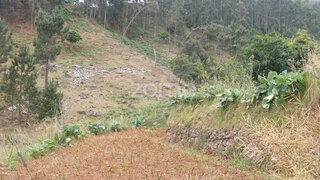 Terreno em Santa Cruz · 15 310 m² · 65 000 €