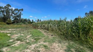 Land for sale in Ovar, Portugal — €21,500