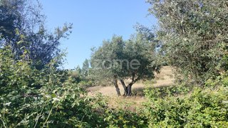 Terreno · 2194 m² · 14 900 €