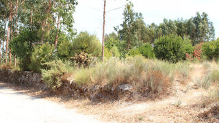 Terreno em Seia · 2705 m² · 9700 €