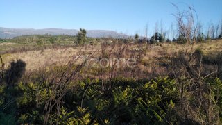 Land for sale in Seia, Portugal — €30,000