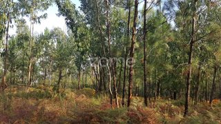 Terreno · 33 500 m² · 69 500 €