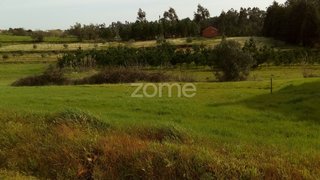 Terreno de 632 m² em Soure