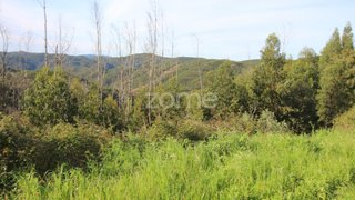Land for sale in Monchique, Portugal — €25,000