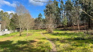 Terreno · 12 000 m² · 520 000 €