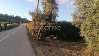Land for sale in Vila Nova de Famalicão, Portugal — €110,000