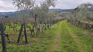 Land for sale in Alijó, Portugal — €130,000