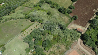 Terreno · 1160 m² · 7500 €