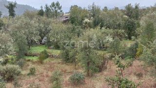 Land for sale in São João da Pesqueira, Portugal — €25,000