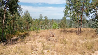 Land for sale in Tondela, Portugal — €20,550