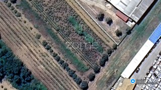 Land for sale in Anadia, Portugal — €25,000