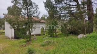 Land for sale in Nelas, Portugal — €75,000