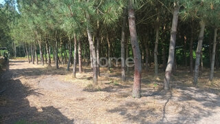 Terreno em Montemor-o-Velho · 3580 m² · 20 000 €