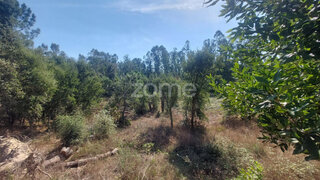 Terreno para venda em Batalha, Portugal — 32 500 €