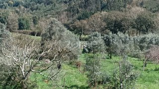Terreno · 2100 m² · 41 500 €