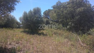 Land for sale in Torres Novas, Portugal — €65,000
