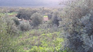 Terreno · 3000 m² · 27 500 €