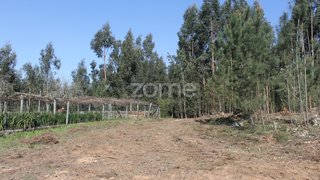 Land for sale in Paredes, Portugal — €75,000
