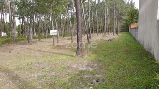 Land for sale in Alcobaça, Portugal — €19,920