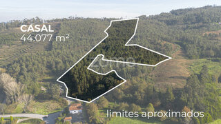 Terreno em Paredes · 44 077 m² · 202 000 €