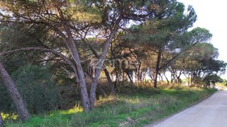 Land for sale in Sesimbra, Portugal — €270,000