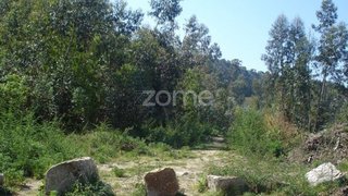 Land for sale in Vila Nova de Famalicão, Portugal
