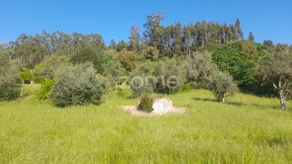 Land for sale in Alvaiázere, Portugal — €29,000