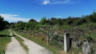 Land for sale in Carregal do Sal, Portugal — €25,000