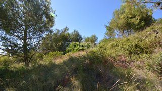 Terreno em Alenquer