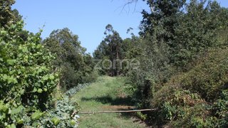 Terreno em Vila Nova de Famalicão