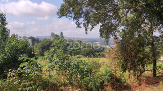 Land for sale in Santo Tirso, Portugal — €98,000