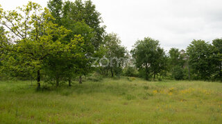 Terreno · 7293 m² · 190 000 €