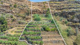 Terreno em Funchal · 3230 m² · 75 000 €