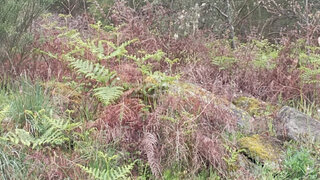 Land for sale in Chaves, Portugal — €65,000